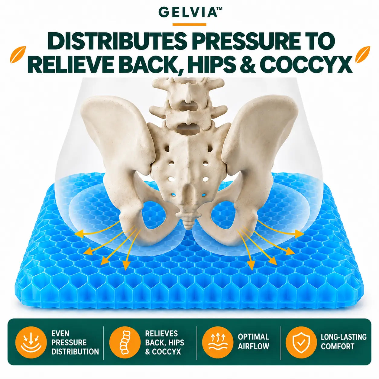 GELVIA ventilation