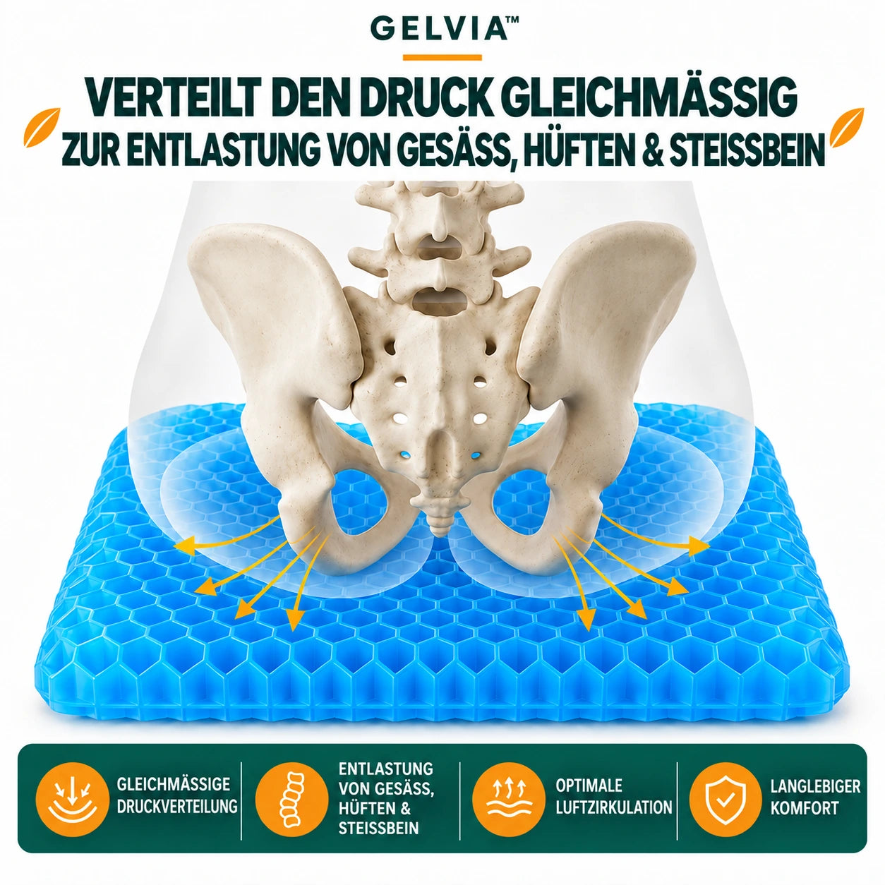 GELVIA-Belüftung
